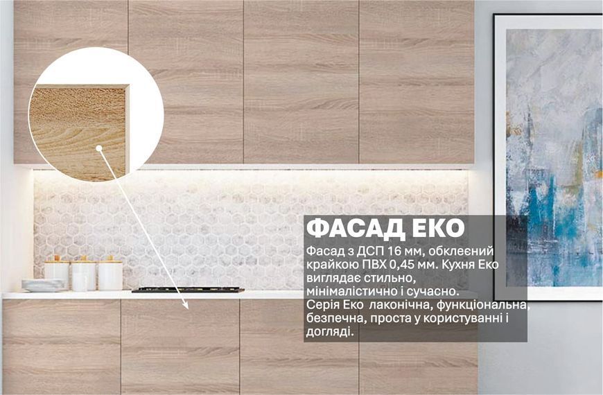 Кухня "Еко" 2м 423229 фото